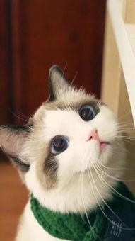 幼幼国产,探索梦幻童年的奇幻世界  第2张