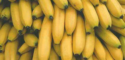 香蕉网国产,探索本土创意与产业的融合之路  第2张