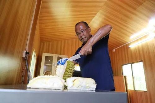 国产熟,匠心独运的味蕾之旅 第2张 国产熟,匠心独运的味蕾之旅 第2张