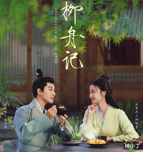 极品国产视频,极致视听盛宴，带你领略国产视频的魅力  第2张