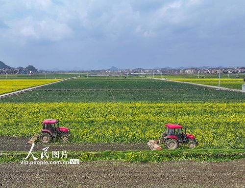 1024国产区,探索国产科技的魅力与未来 第2张 1024国产区,探索国产科技的魅力与未来 第2张